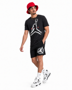 Nike Air Jordan Large Graphic Mens T Shirt in Black