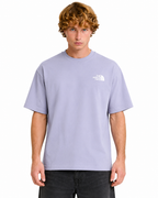 The North Face1 The North Face Mens Globe Reload Relaxed T Shirt In Grey Colour